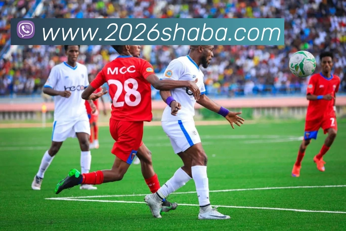 App Interface Preview