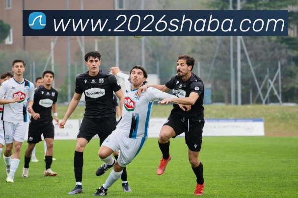 沙巴体育APP 封面图