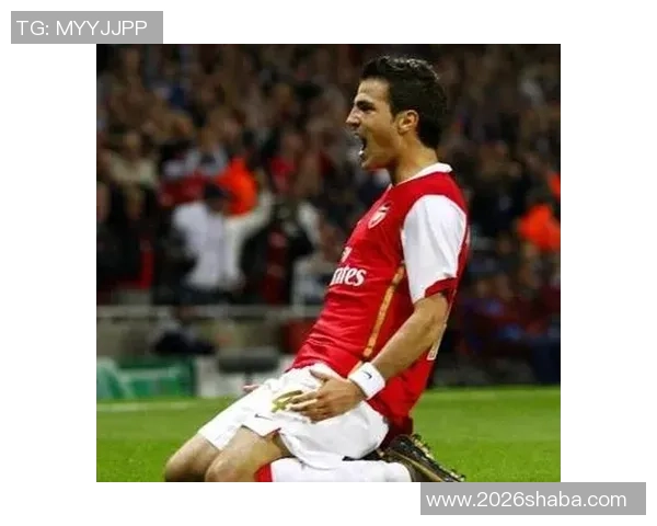 法布雷加斯回忆切尔西岁月称其为职业生涯最佳选择之一 法布雷加斯回忆切尔西岁月称其为职业生涯最佳选择之一