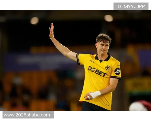 狼队考虑出售拉尔森若转会费接近5500万镑将持开放态度